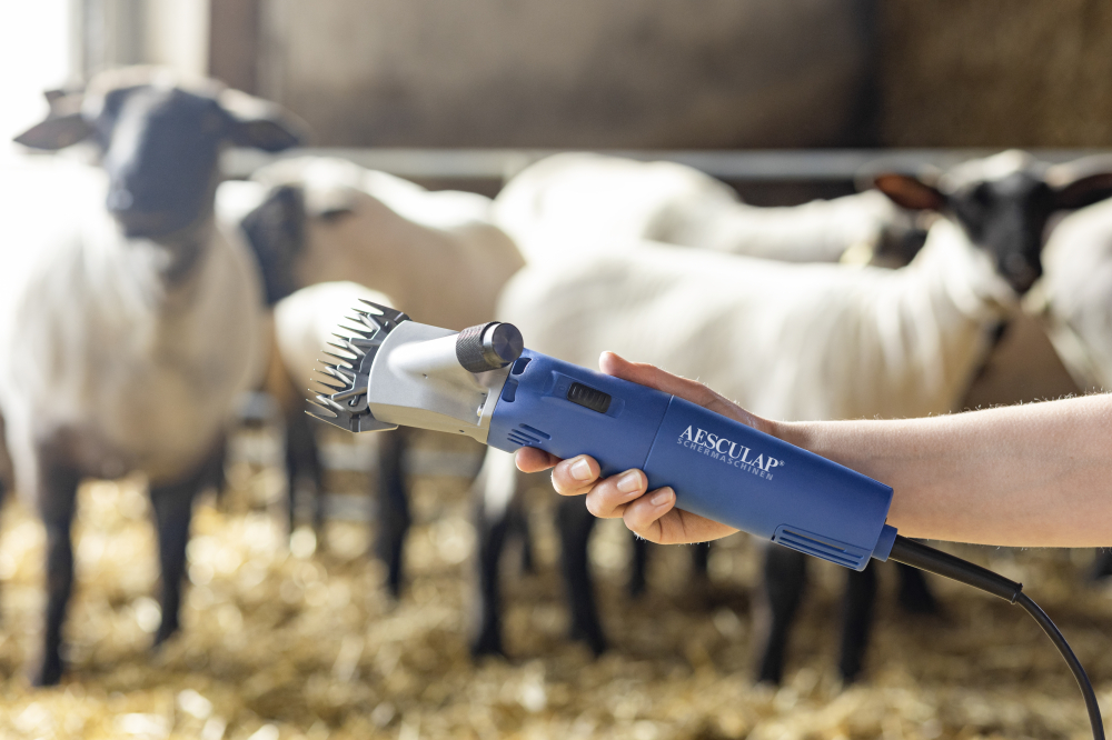 Aesculap Econom Nova Sheep Shearing Machine